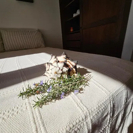 Tatil Evi Bellavista, Stintino La Pelosa *